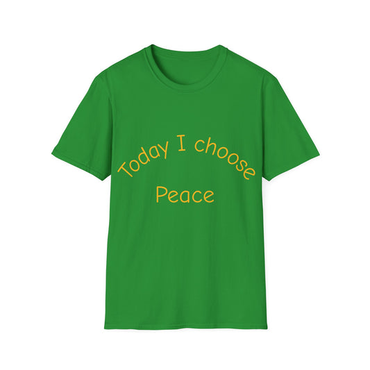 Affirmations T-Shirt — "Today I Choose Peace"
